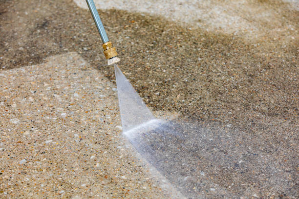 Animal Enclosure Cleaning in Truckee, CA